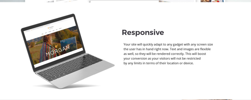 Morgan - Artist Portfolio Multipage HTML5 - Features Image 7
