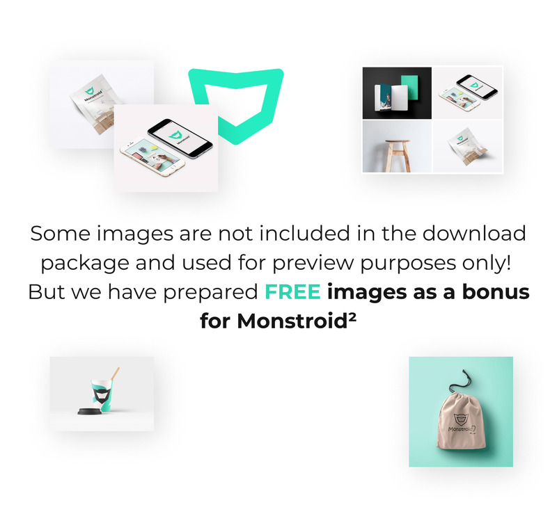 Monstroid2 - Multifunctionele premium HTML5-websitesjabloon - Features Image 7
